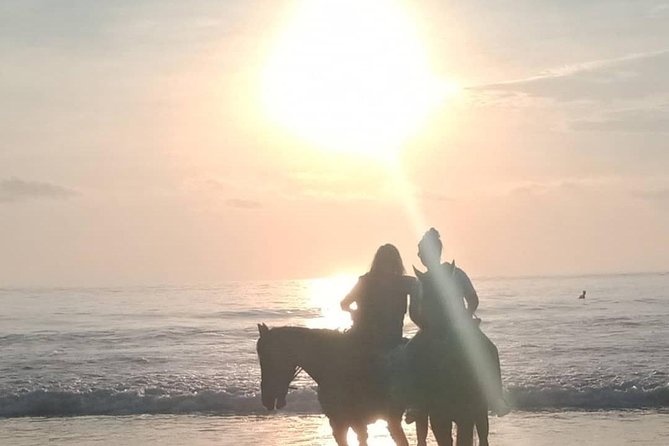 Seminyak Beach Bali Horse Riding - Who should book this Seminyak beach horse ride?