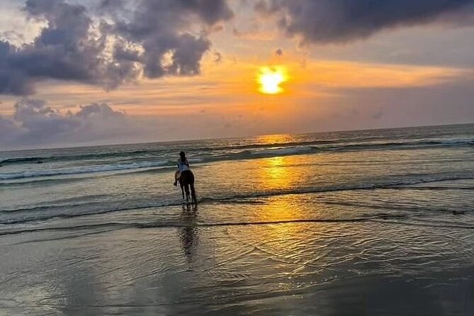 Seminyak Horse back riding In the beach - Seminyak Beach at horse level: what this 1-hour ride really feels like