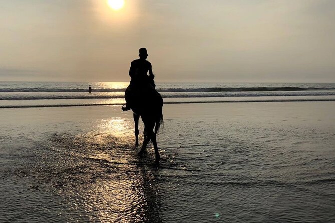 Seminyak Horse back riding In the beach - Price and value: is $44 for one hour reasonable?