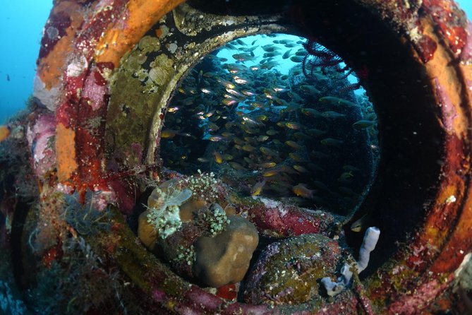 Shipwreck Diving in Tulamben - Key Highlights You’ll Actually Care About