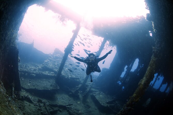 Shipwreck Diving in Tulamben - Your Guide Underwater: Support That Makes the Wreck Feel Understandable