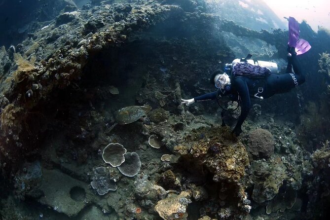 Shipwreck Diving in Tulamben - Who This Trip Fits Best (And Who Might Want Something Else)