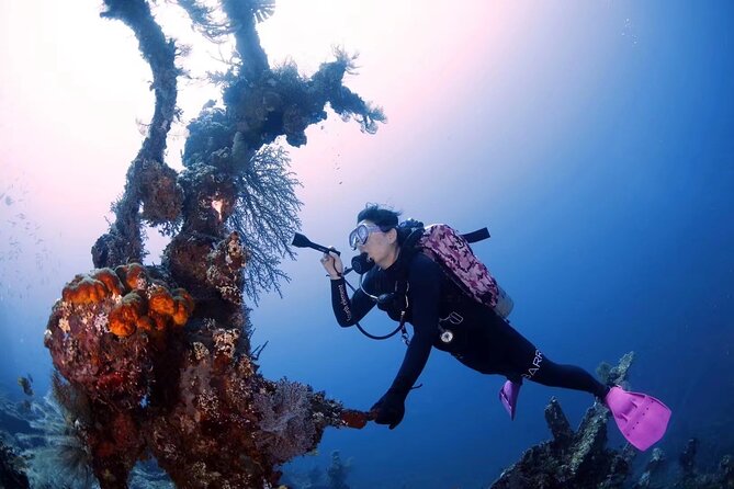 Shipwreck Diving in Tulamben - Price and Value: What $150 Gets You in Real Terms
