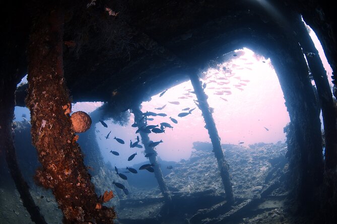 Shipwreck Diving in Tulamben - Boat Time and Water Sessions: The Schedule That Shapes Your Comfort