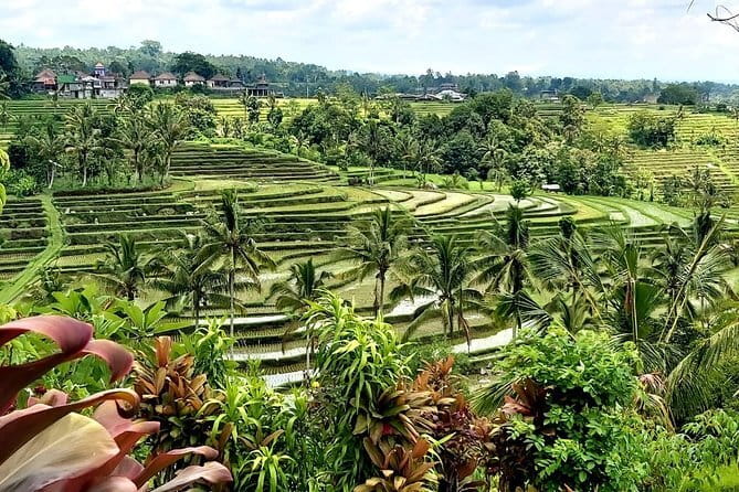 Shore Excursion Cruise Ship from Benoa and Celukan Bawang Port - Ubud cultural stops: temples, villages, and markets without the planning headache