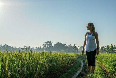 Sidemen Highlights Day Tour - Kerta Gosa in Klungkung: palace remains with Dutch-era context