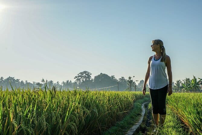 Sidemen Highlights Day Tour - Kerta Gosa in Klungkung: palace remains with Dutch-era context