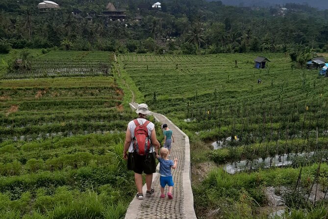 Sidemen Trekking Through Rice Terraces and Villages - Key things that make this trek worth it