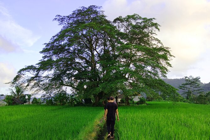 Sidemen Trekking with Cultural Encounters and Nature Views - Quick reasons this trek earns 5 stars