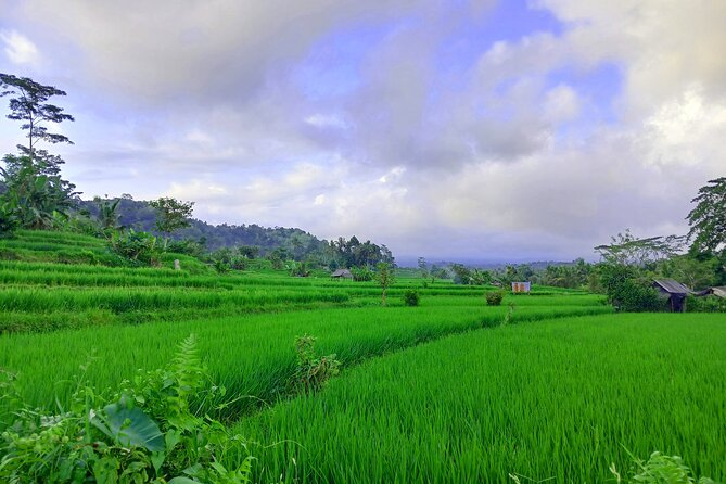 Sidemen Trekking with Cultural Encounters and Nature Views - Lepusa Sidemen trekking: the walk that makes Sidemen feel local
