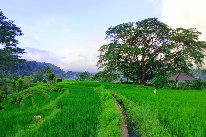 Sidemen Trekking with Cultural Encounters and Nature Views - How to pick the right itinerary focus for your mood