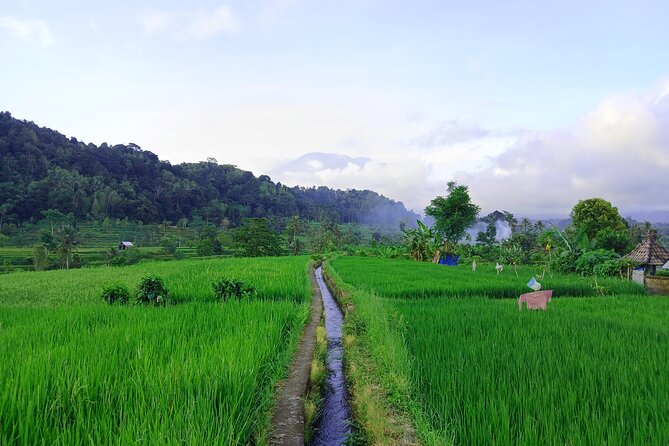 Sidemen Trekking with Cultural Encounters and Nature Views - Guide touch: Gede’s warmth and language support
