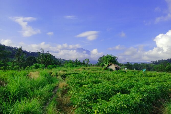 Sidemen Trekking with Cultural Encounters and Nature Views - Value check: what $12.84 gets you in Sidemen