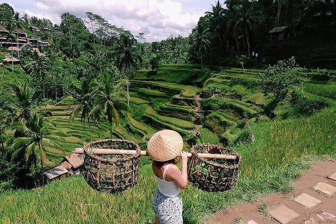 Skip-the-Line: Ubud Tour - All Inclusive Tickets - Private Ubud day planning that keeps you out of the weeds