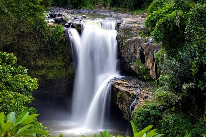 Skip-the-Line: Ubud Tour - All Inclusive Tickets - Sacred Monkey Forest Sanctuary: seeing macaques up close means good behavior