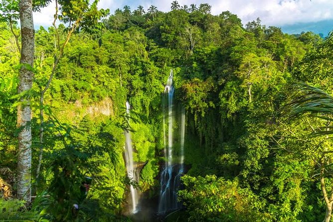 Small-Group Sekumpul Waterfall Jungle Trek with Lunch - 5:00am in Ubud: the real start of your Sekumpul day