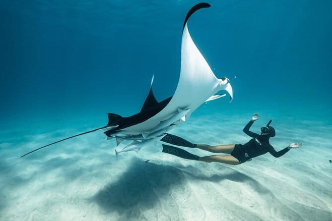 Snorkeling 3 Spots with GoPro & West Coast Tour Nusa Penida - Key things to know before you go
