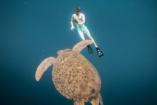 Snorkeling 3 Spots with GoPro & West Coast Tour Nusa Penida - Price and timing: what $18.24 buys you