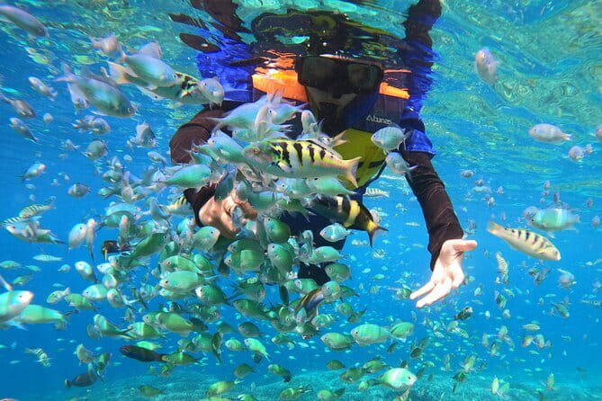 Snorkeling 3 Spots with GoPro & West Coast Tour Nusa Penida - What to wear and bring (so the day feels easy)