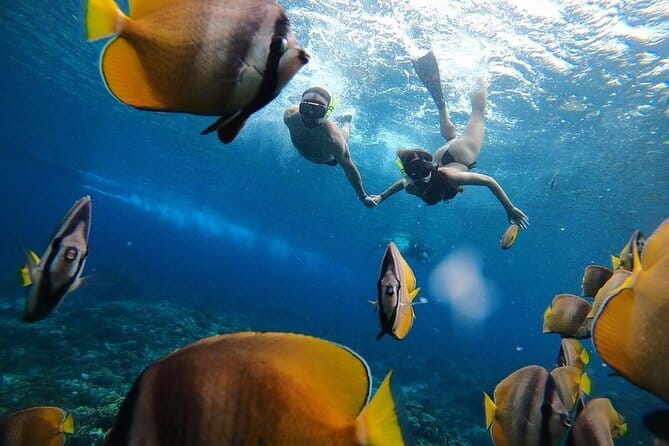 Snorkeling 3 Spots with GoPro & West Coast Tour Nusa Penida - Value check: is this tour worth it?