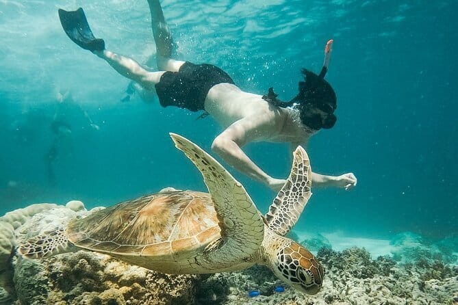 Snorkeling 3 Spots with GoPro & West Coast Tour Nusa Penida - Where the day starts: Wonderland Manta Penida and your orientation