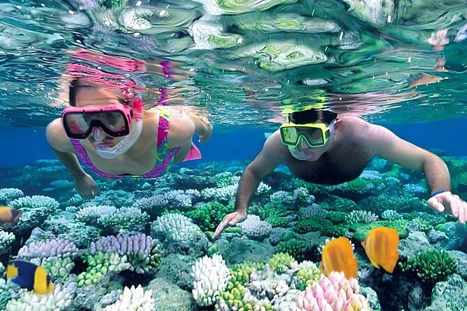 Snorkeling 4 Spot With Manta Bay Or Optional Land Trip - Price and Value: Why $14.14 Can Still Make Sense