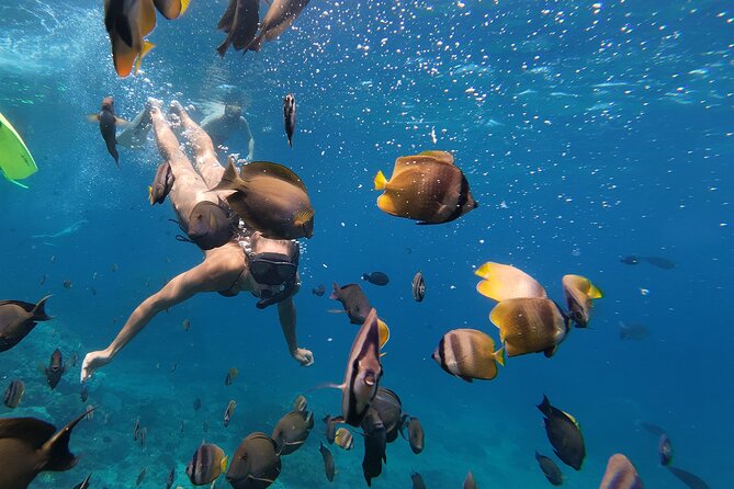 Snorkeling 4 Spot With Manta Bay Or Optional Land Trip - Wall Point: Serene Scenery, Calm Focus