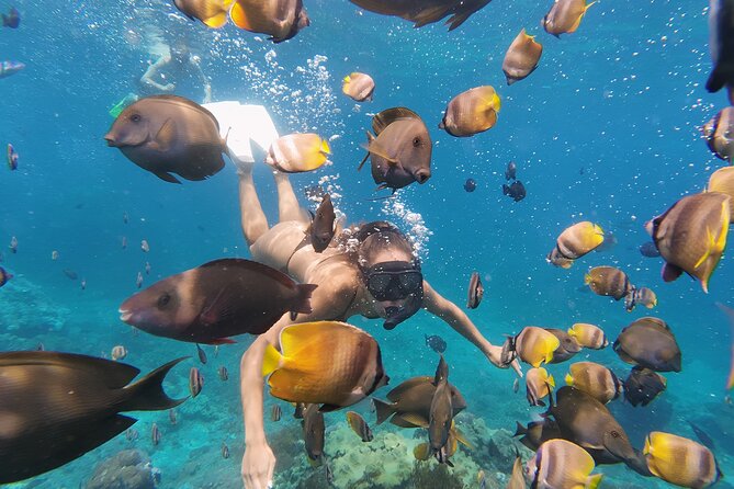 Snorkeling 4 Spot With Manta Bay Or Optional Land Trip - Crystal Bay: End With Clear Water and an Easy Mind