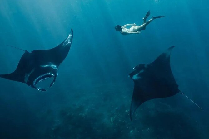 Snorkeling 4 Spots, Manta Rays, Tembeling Pool & Kelingking Beach - Key reasons this tour works