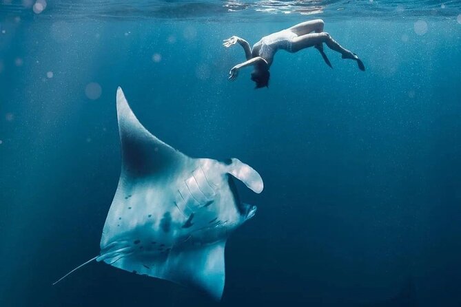 Snorkeling 4 Spots, Manta Rays, Tembeling Pool & Kelingking Beach - Morning Logistics from Bali: Pickup, Sanur Speedboat, and the 6:00 am Start