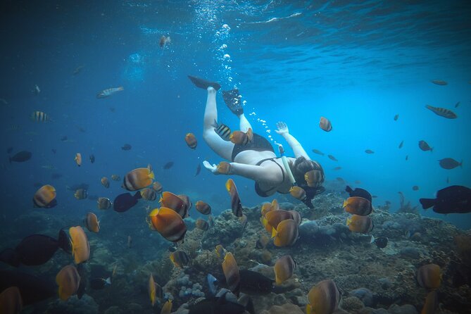 Snorkeling 4 Spots, Manta Rays, Tembeling Pool & Kelingking Beach - Guides and Pace: Punctuality, Friendly Explanations, and What Makes It Feel Easy