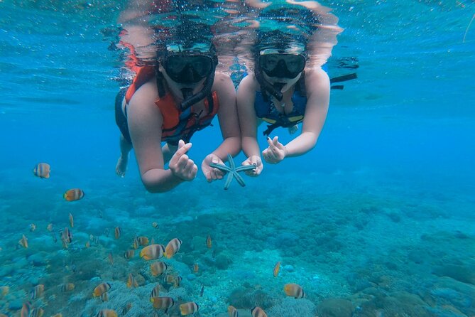 Snorkeling 4 Spots, Manta Rays, Tembeling Pool & Kelingking Beach - Snorkeling Manta Rays and 4 Reef Stops: Clear Water, Big Swims, and Realistic Manta Odds
