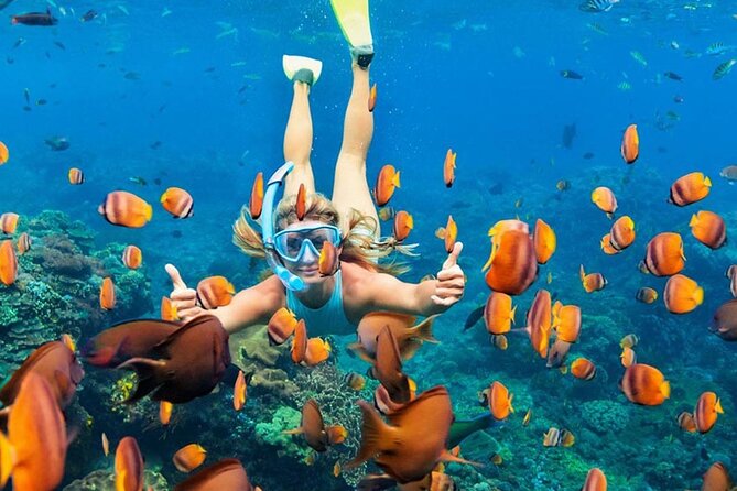 Snorkeling adventure to the manta ray habitat in Nusa Penida - Practical Tips for Snorkeling on Nusa Penida Waters