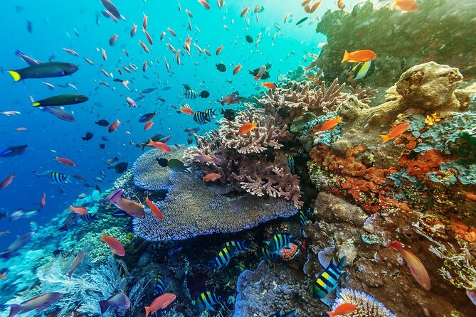 Snorkeling Adventure with East Nusa Penida Tour All Inclusive - Fast Boat to Nusa Penida: 50 Minutes of Real Ocean