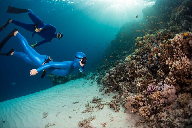 Snorkeling and Freediving Trip around Nusa Penida - Meeting on Nusa Penida: The 10:00 AM Start That Drives Everything