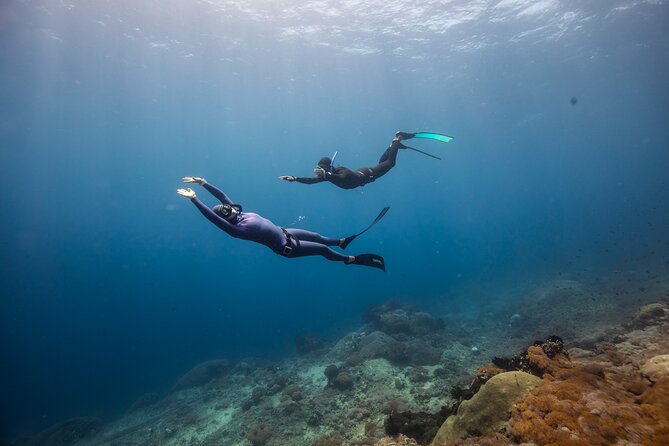 Snorkeling and Freediving Trip around Nusa Penida - Gear, Briefing, and Safety: What’s Included (and What It Means)