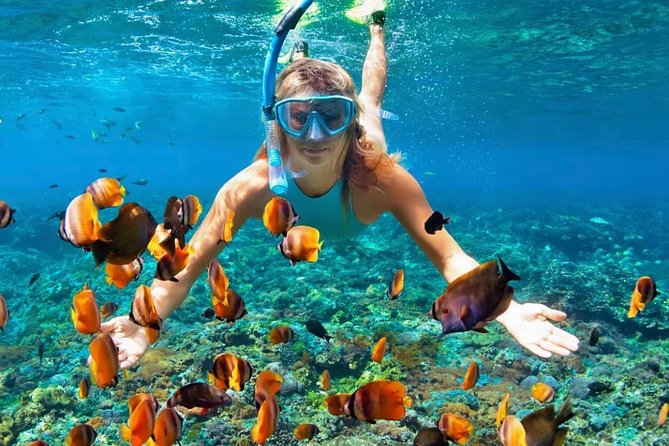 Snorkeling At Blue lagoon And Hidden waterfall - Price and Value: What $54 Covers in Bali