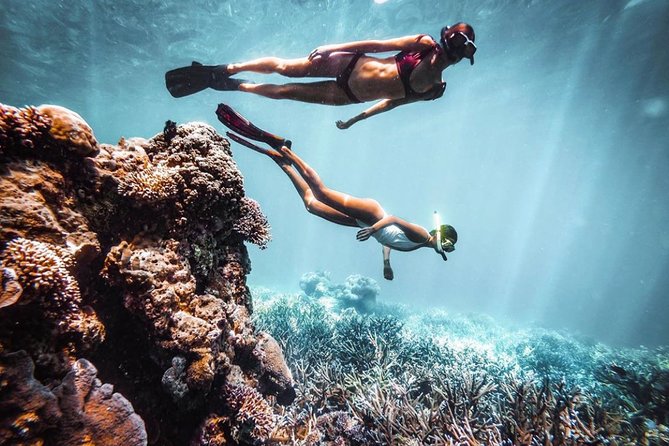 Snorkeling At Blue lagoon And Hidden waterfall - In the Water With the Guide: What You Should Expect