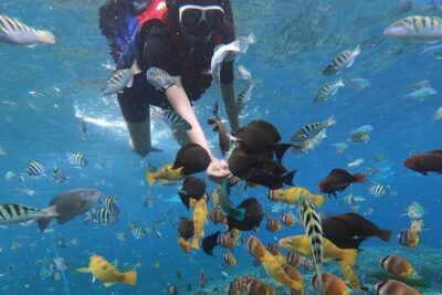 Snorkeling At Blue lagoon And Hidden waterfall - Snorkeling at Tanjung Jepun and Blue Lagoon: Fish, Coral, Turtles