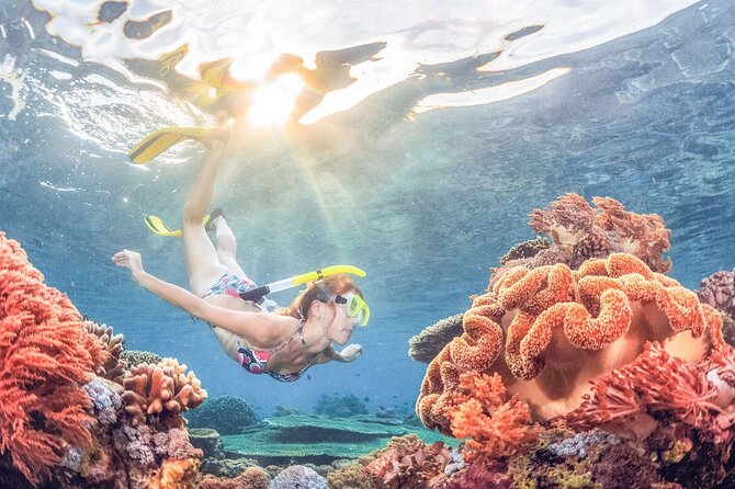 Snorkeling at Blue Lagoon Bali with Lunch and Transport - Blue Lagoon at Padangbai: Why This Part of East Bali Works