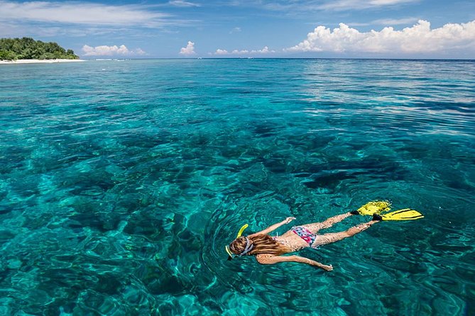 Snorkeling at Blue Lagoon Bali with Lunch and Transport - The Boat Transfers and Gear Details You’ll Actually Care About