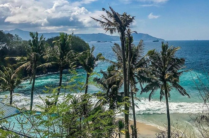Snorkeling at Blue Lagoon Bali with Lunch and Transport - Price and Value: Is $52.99 a Good Deal?