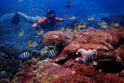Snorkeling Day Trip To Lembongan and Penida - Getting ready: gear, waivers, and who should skip this trip