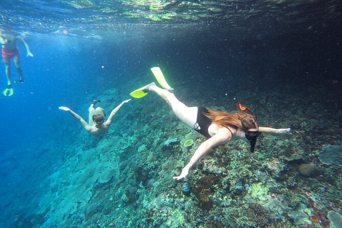 Snorkeling Day Trip to Nusa Lembongan and Nusa Penida - Key highlights worth knowing