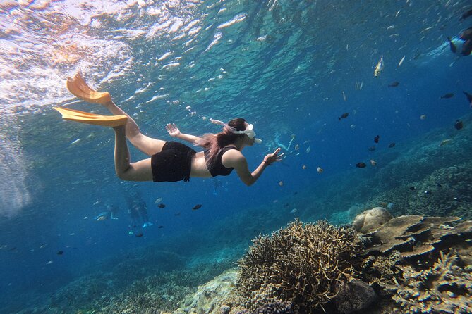 Snorkeling Day Trip to Nusa Lembongan and Nusa Penida - A fast-boat day to Nusa Lembongan and Penida