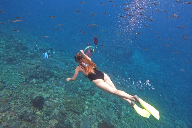 Snorkeling Day Trip to Nusa Lembongan and Nusa Penida - Weather and comfort: what to watch before you commit