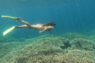 Snorkeling Day Trip to Nusa Lembongan and Nusa Penida - The snorkeling plan: 3 stops and manta-ray odds