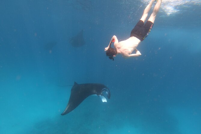 Snorkeling Day Trip to Nusa Lembongan and Nusa Penida - Lunch, snacks, and the timing that keeps the day pleasant