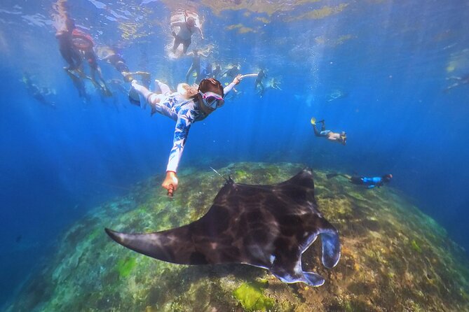 Snorkeling Day Trip to Nusa Lembongan and Nusa Penida - Kayaking or a Lembongan tour after snorkeling