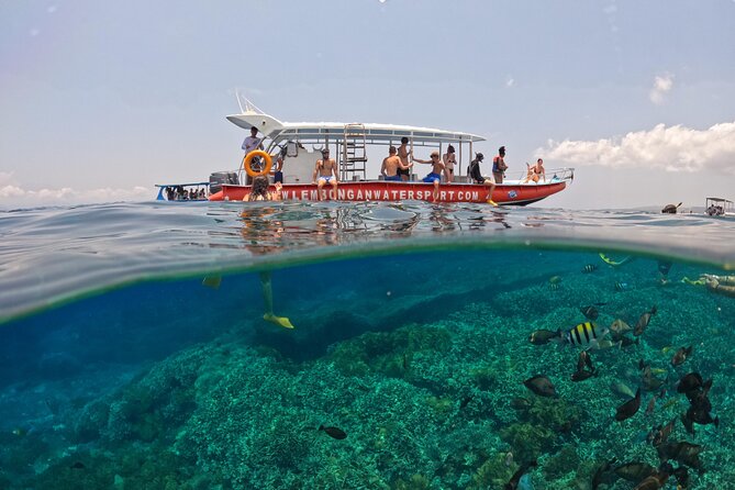 Snorkeling Day Trip to Nusa Lembongan and Nusa Penida - Price and value: is $42.55 a fair deal from Seminyak?